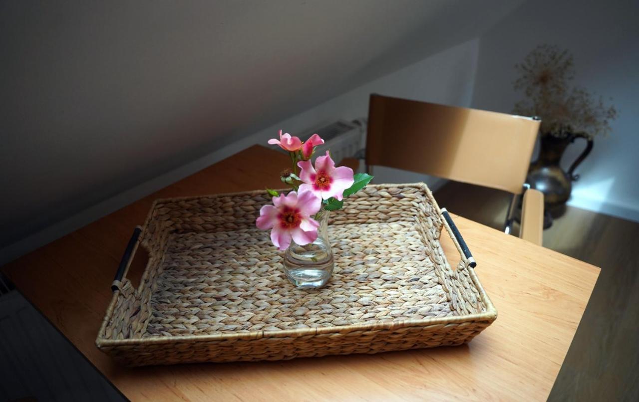 Altstadt Fereienwohnung Hameln Hamelin Esterno foto